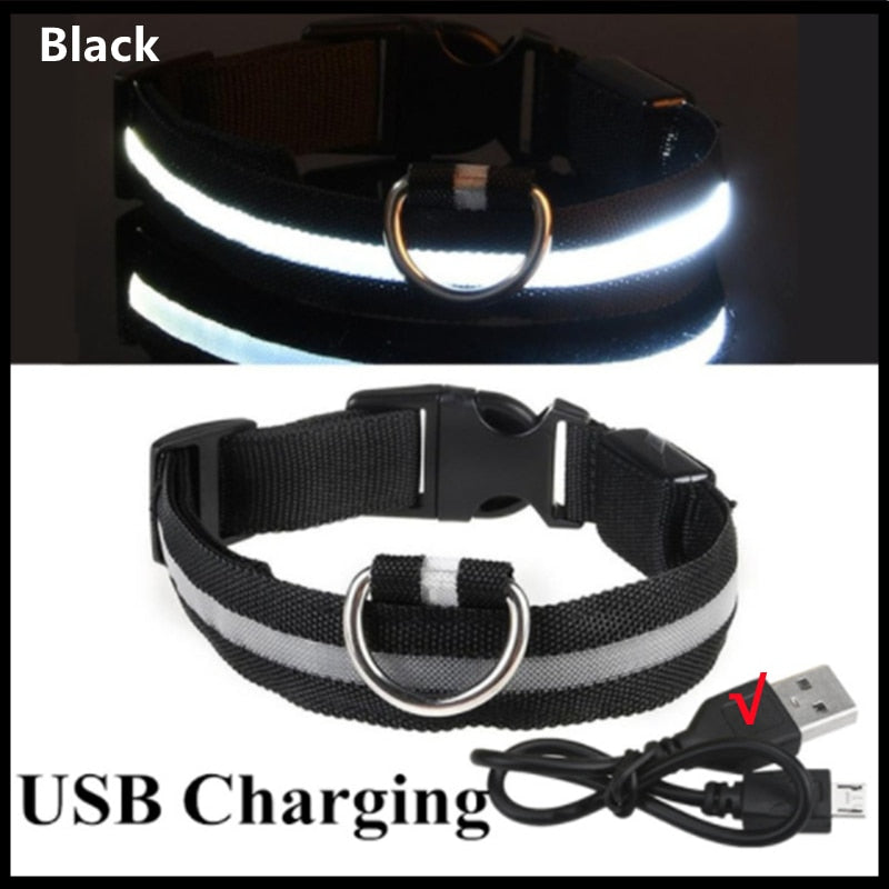 LED Dog/Cat Collars (Battery or Rechargeable)
